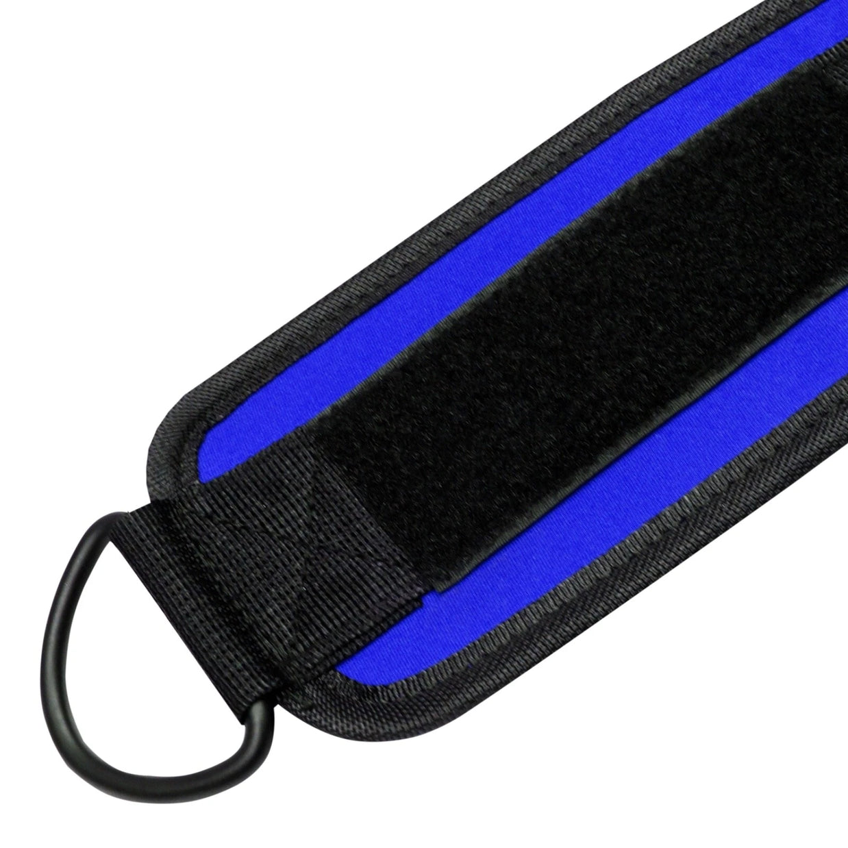 MT neoprene D-ring ankle strap in blue, front view