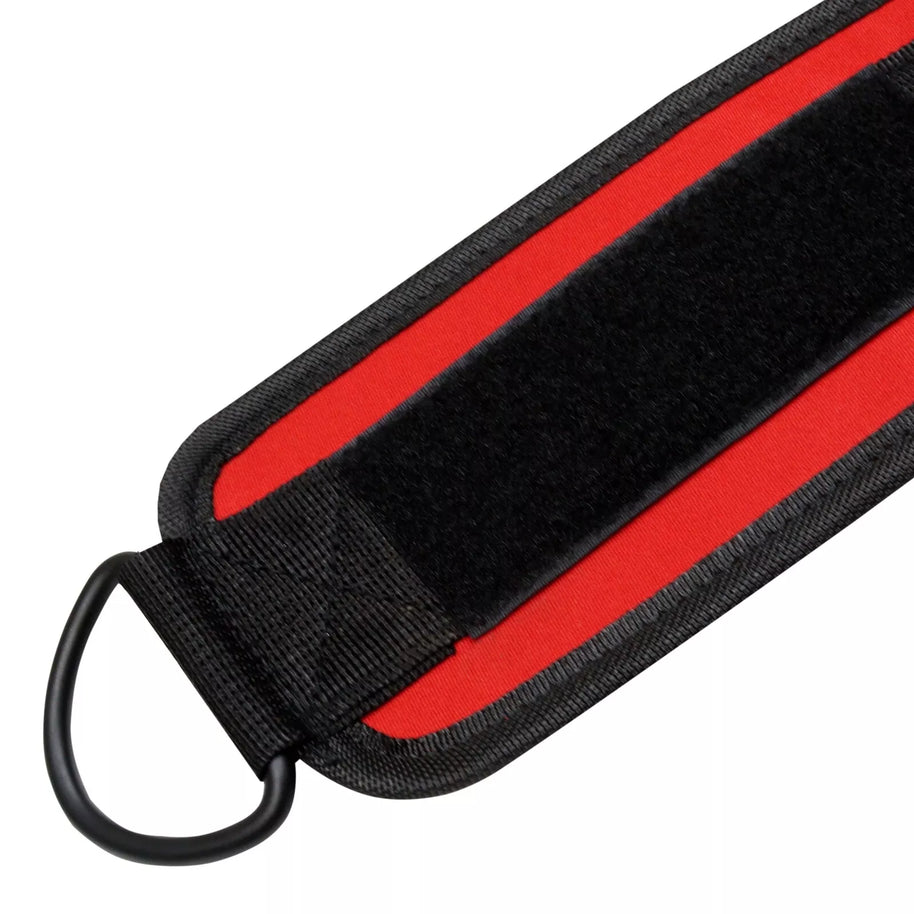 MT D Ring Ankle Strap for Cable Machines, Kickbacks, Glute Workouts - Gym Straps