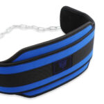 MT Weight Training Dip Belt with Heavy Duty Steel Chain (Blue)